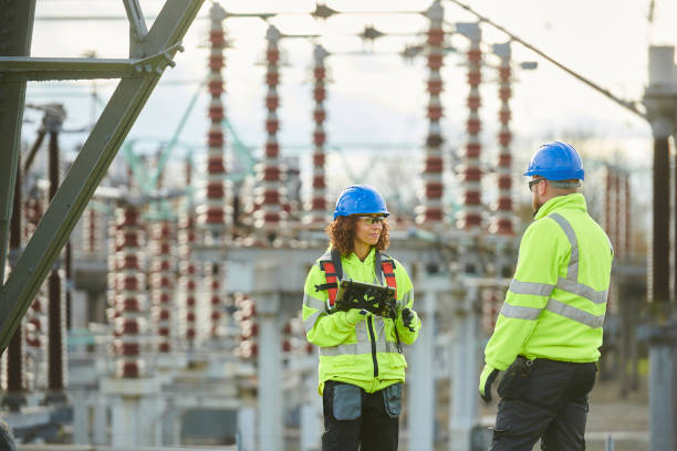Best Electric Panel Repair  in Mountain Lake Park, MD